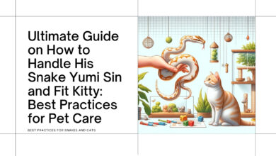 How to Handle His Snake Yumi Sin and Fit Kitty