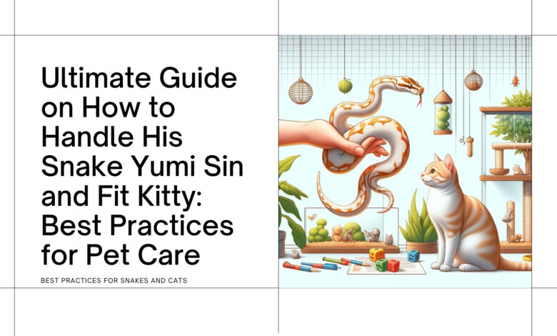How to Handle His Snake Yumi Sin and Fit Kitty